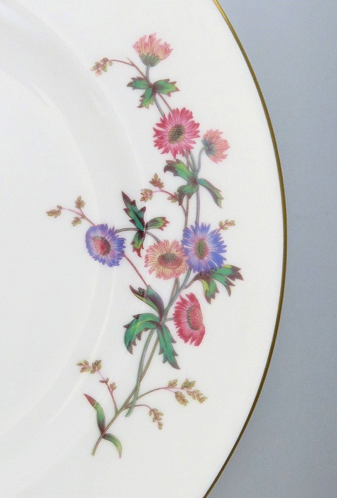 11 Wedgwood Devon Sprays Bone China Porcelain Salad Luncheon Plates 9"