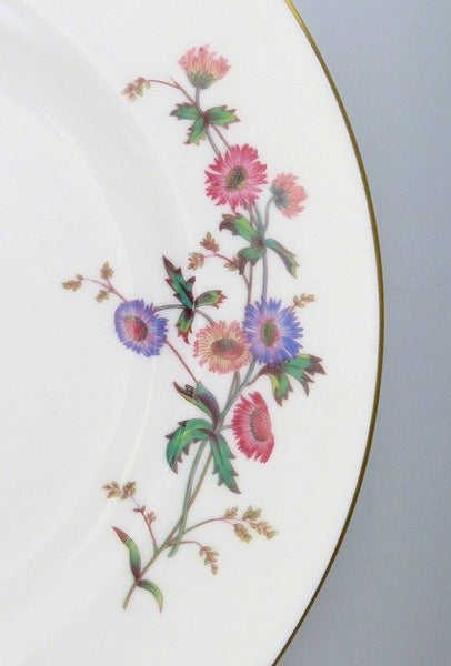 11 Wedgwood Devon Sprays Bone China Porcelain Salad Luncheon Plates 9"