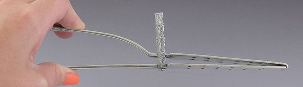 c1850s Rare Albert Coles Coin Silver Jenny Lind Asparagus Server / Tongs