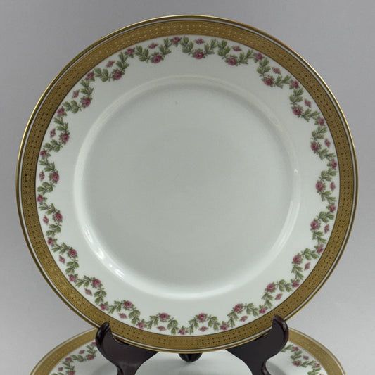 12 Large Limoges Porcelain Plates Ahrenfeldt Roses Gilt