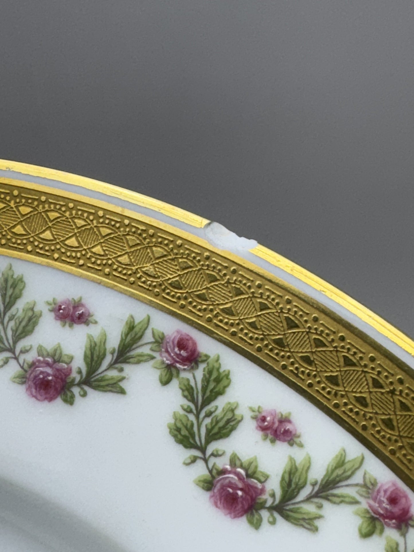 12 Large Limoges Porcelain Plates Ahrenfeldt Roses Gilt