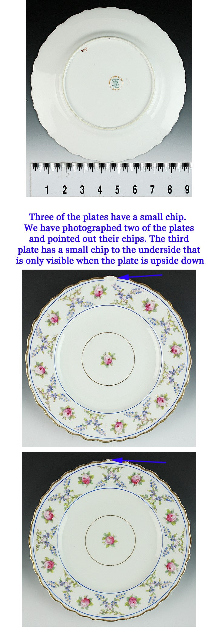 11 English Coalport Porcelain Painted Gilt Floral Luncheon 9" Plates
