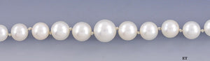 Stunning Strand Graduated Pearls w/14K White Gold Filigree Clasp Necklace