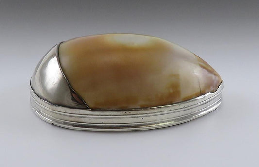 Antique 18th Century Sterling Silver Mounted Cowrie Shell Snuff Box