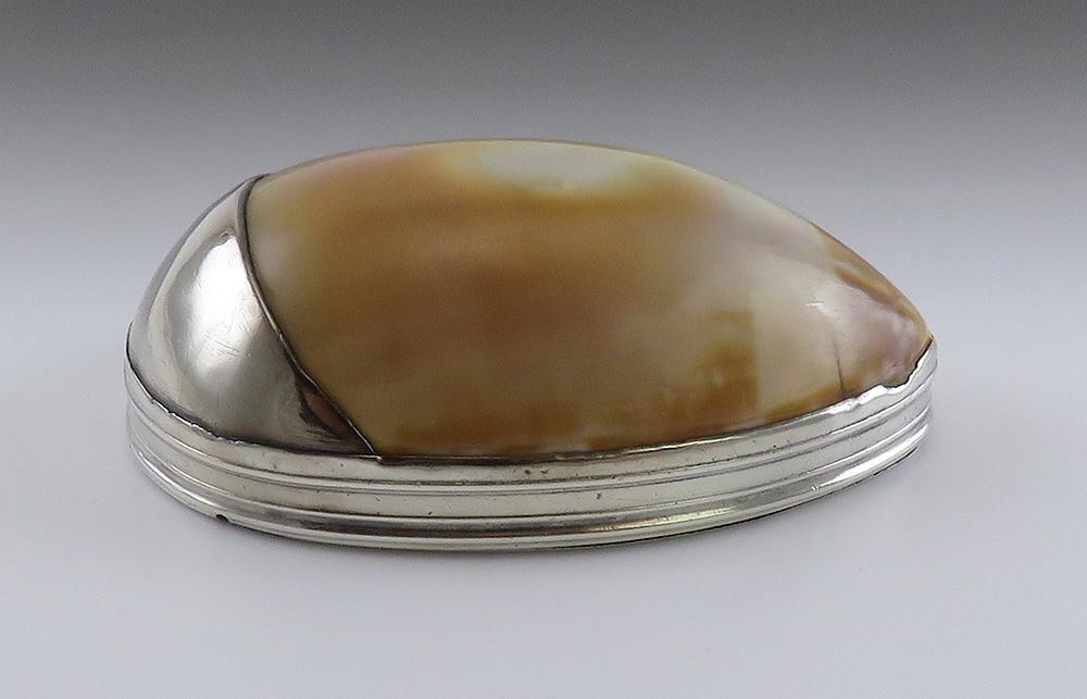 Antique 18th Century Sterling Silver Mounted Cowrie Shell Snuff Box
