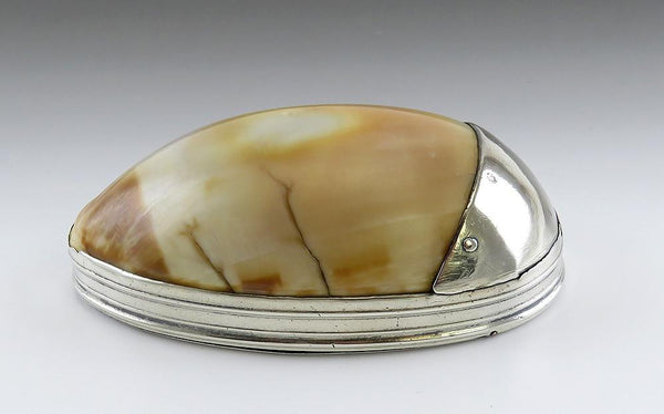 Antique 18th Century Sterling Silver Mounted Cowrie Shell Snuff Box