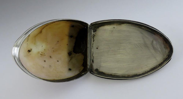 Antique 18th Century Sterling Silver Mounted Cowrie Shell Snuff Box